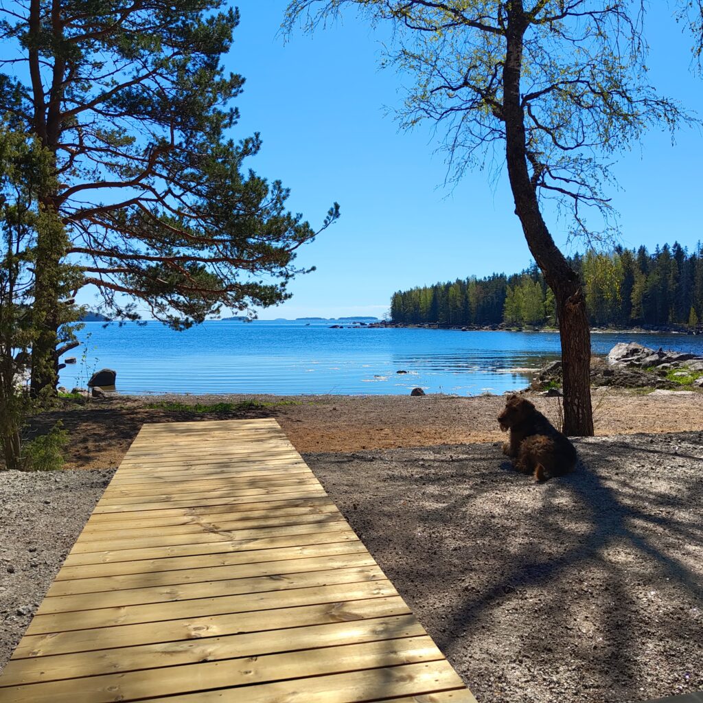 WhatsApp Image 2024-05-19 at 13.01.16